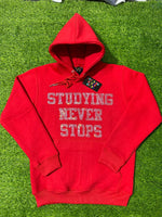 Load image into Gallery viewer, Bling  Red SNS Hoodie
