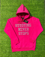Load image into Gallery viewer, Bling Pink Hoodie
